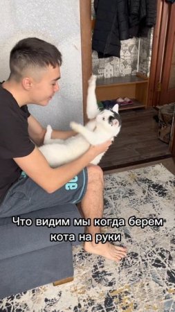 А вы что думали?