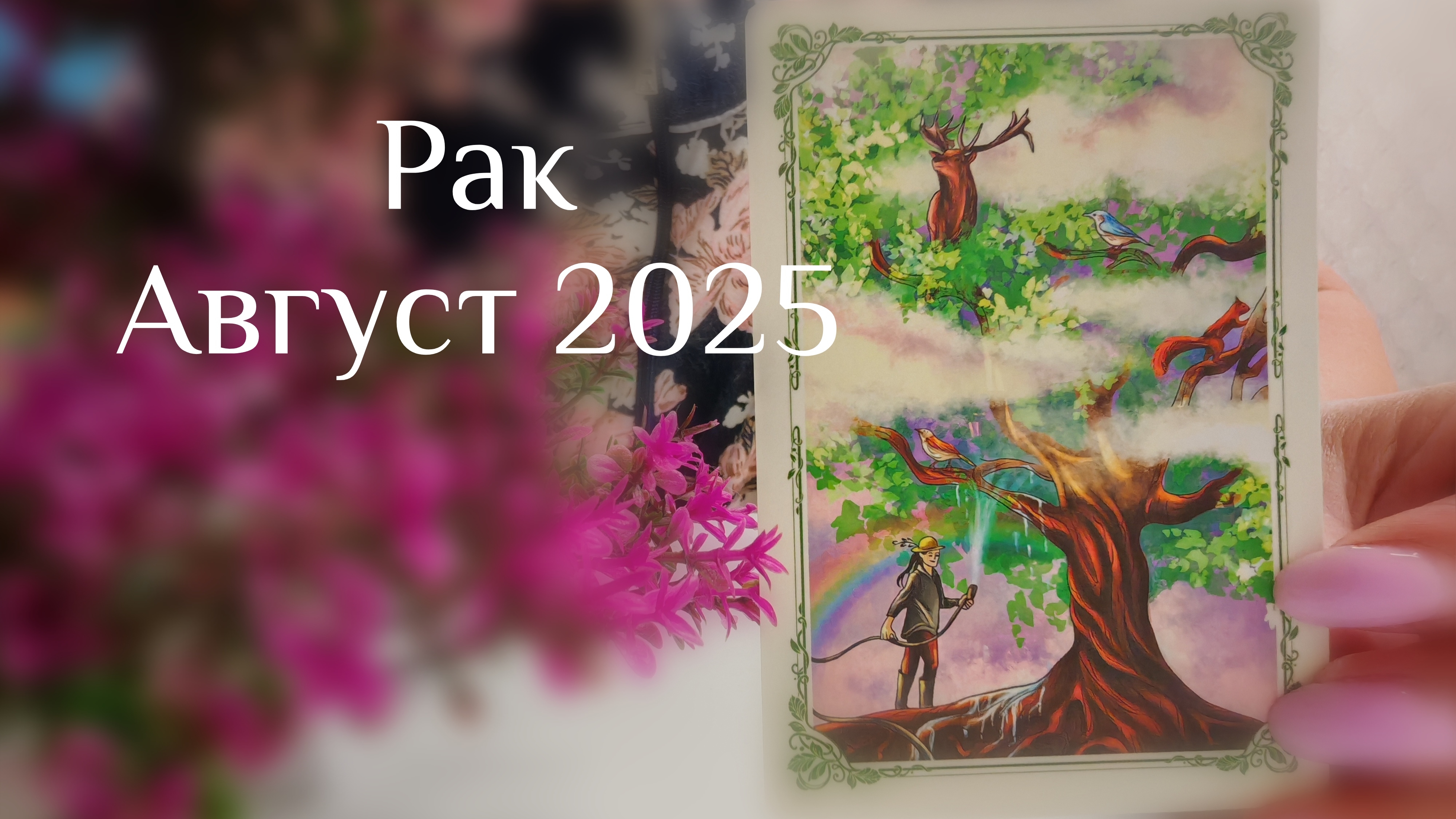 Рак : Август 2025 Таро /Прогноз