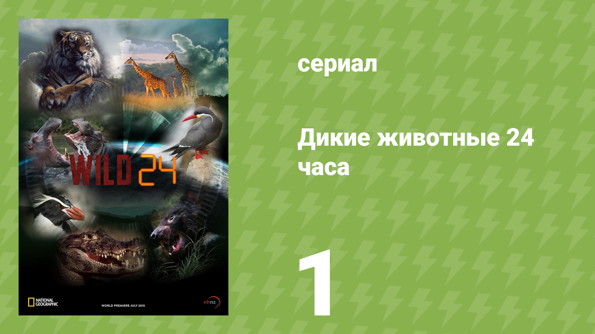 Дикие животные 24 часа 1 сезон 1 серия «Африканская саванна» (документальный сериал, 2015)