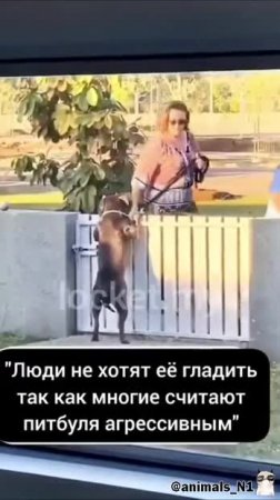 Подпишись 👉 https://vk.com/ykrasheniy_iz_kamny