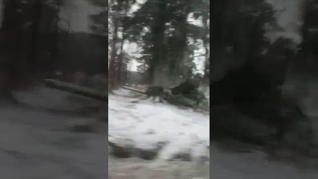 1000074405.mp4 Карелия