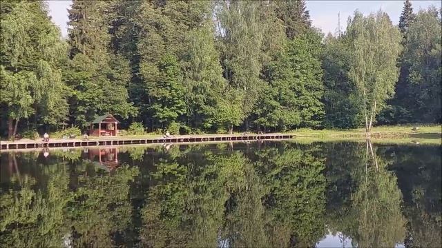 Утренний обзор с нижнего водоёма. Клёвое место, Лосиный остров.