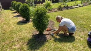 В деревню не дачу🏡Уборка сада, нет конца и края🙈Косим,, полим ,убираем…02июля2025#сад#дача#огород