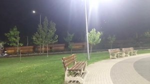 train