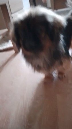 1000028445.mp4