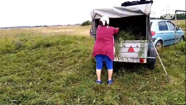 Про покос в деревне и натуральный продукт