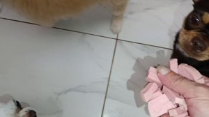 Все они унюхают, все им надо выпросить.