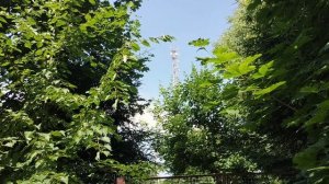 Наш собственный лес.Песня в конце ролика.