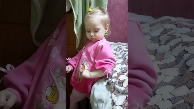 Животные приколы и не только