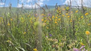 Маршрут по урочищу Мурзикал. Лагонаки