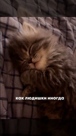 Окак,хех.