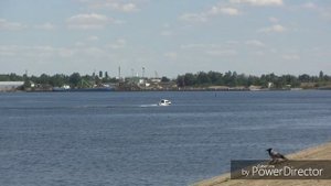 Летний коллажик