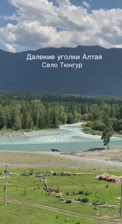 Дальний Алтай. ❤Живем на Алтае и путешествуем. ❤ #сезонконтентаRUTUB