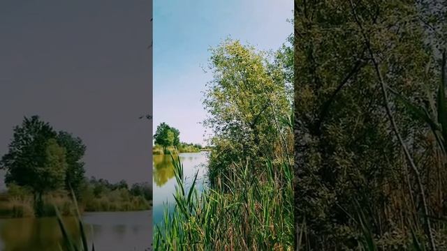 AQNgrXjsE1cLD3hOxOPrzVmczKWZme4SKoAQWDSwJF34TQzLxn3MEPVqwPKNgtp5wdDq1TZbeHzXHahi