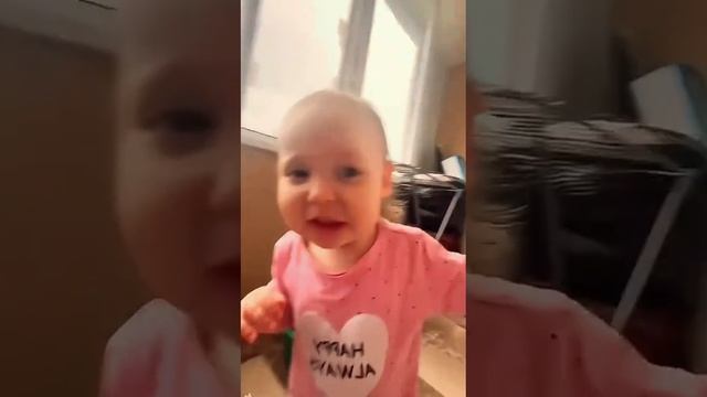 Животные приколы и не только