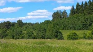 Карелия.Поход за Иван Чаем.