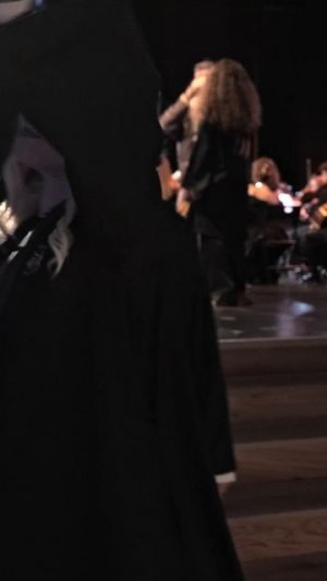 NELLA MUSICA ORCHESTRA «Гарри Поттер и Симфомультимедия»