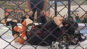 соревнования по ММА