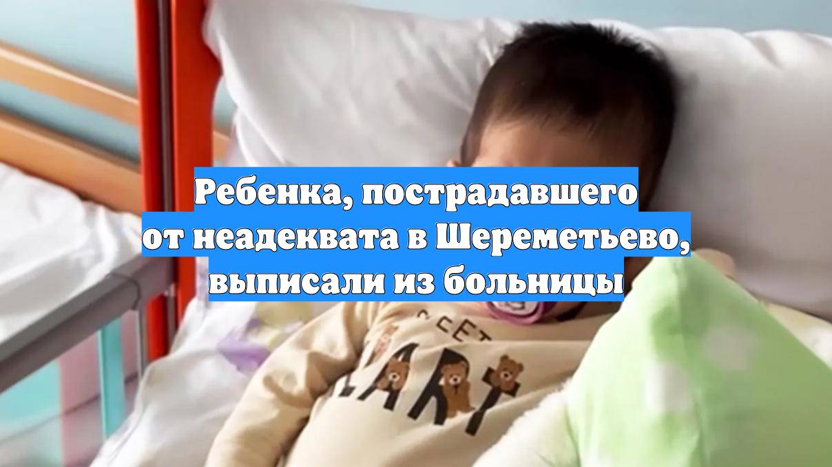 Ребенка, пострадавшего от неадеквата в Шереметьево, выписали из больницы