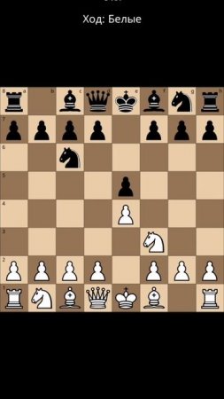 Ты любишь играть e4, а твой соперник отвечает d5 в шахматах.