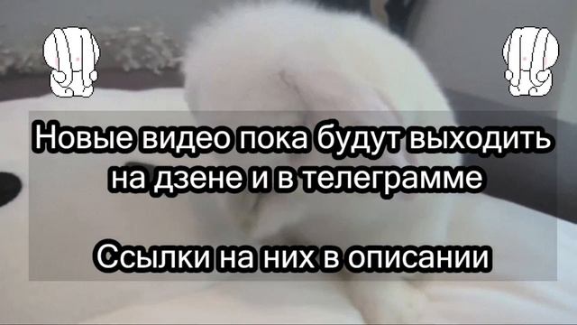 Где Видео