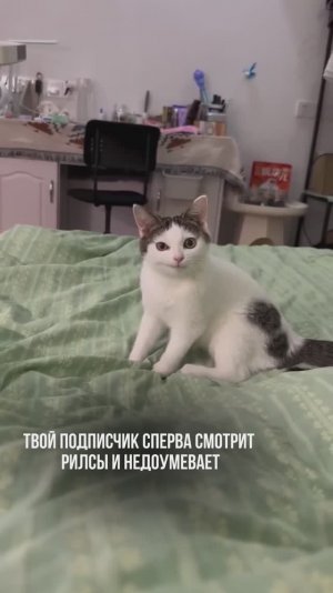 Как ведёт себя клиент📌