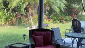 80 Невероятных Моментов, Снятых на Заднем Дворе