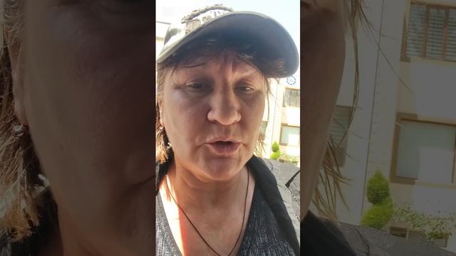 Отвезла котика в клинику и оставила там