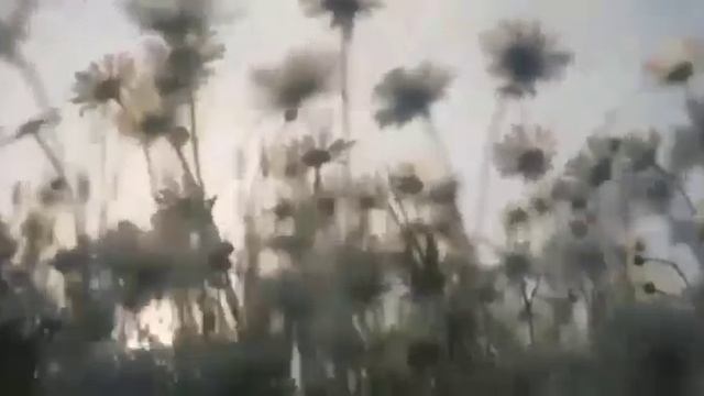 Дни, недели, месяца и годы ♥️ христианские стихи