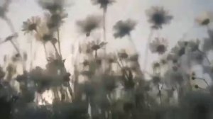 Дни, недели, месяца и годы ♥️ христианские стихи