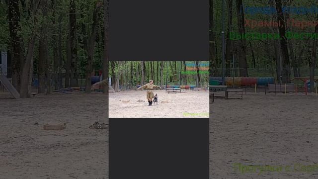 Ожившие подвиги собак-героев ВОВ.

#видео #собаки_герои #вов

Доброго Времени Суток! С вами Канал «П