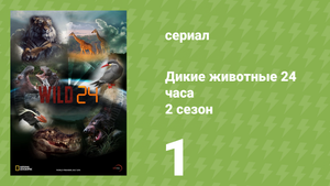 Дикие животные 24 часа 2 сезон 1 серия «Индийское лето» (документальный сериал, 2015)