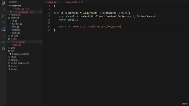 39 - Writing our first database function