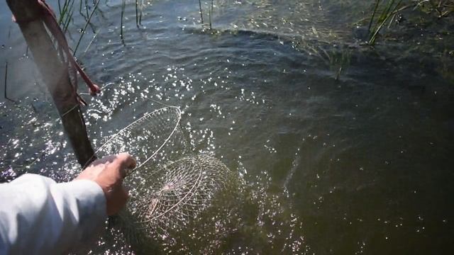Рыбалка. Ловим леща на фидер с лодки.