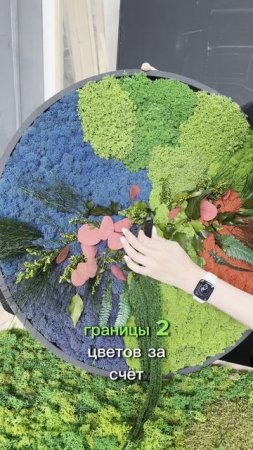 Картина из разноцветного мха и растений