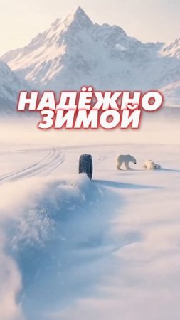 Arivo! Надежные шины в любое время года