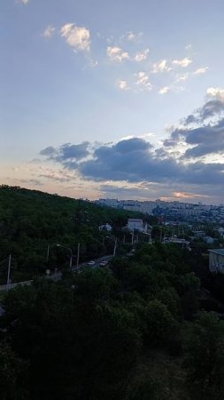 лайф жизнь 61