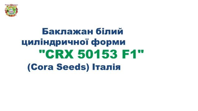 Белые баклажаны на даче — урожай удивит всех!