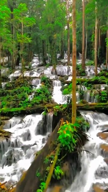 Air Terjun Mokokawa — это райский уголок, напоминающий натуральный спа-салон для ваших глаз! 💦🍃 смотреть онлайн