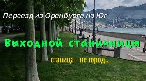 МОЙ ВЫХОДНОЙ: работаю на участке.ВЕСЬ ДЕНЬ.12 июля