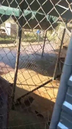 Запоздавшее видео от Андрея