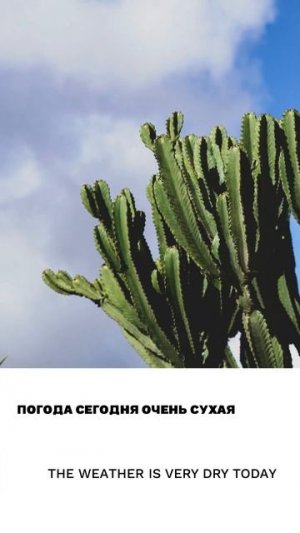 Сухой