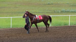 Скаковой день 11 июля. Дистанция 1600 м. Партия