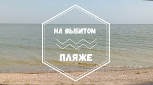 На выбитом пляже