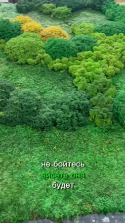 Панно из разноцветного мха разной фактуры в комнату