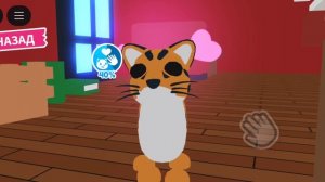 купила на стар петс Мидузу райд (стар петс рабочий и не скам)