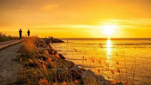 Это роза в огне (Suno AI)