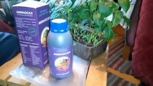 Настоящая ЛЕНИВАЯ дача - НЕ сажаю, только собираю урожай! ❤️ Витамины огороду!!! Цветы.