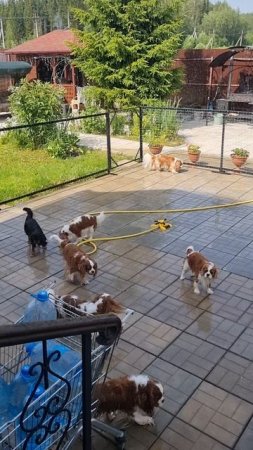 Спасаемся от жары)) Как делаете это вы?