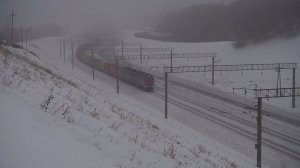 Тепловоз 2ТЭ116У-0284 с контейнерным поездом взбирается на подъём в "сметане".